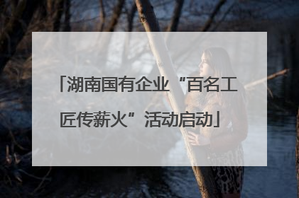 湖南国有企业“百名工匠传薪火”活动启动