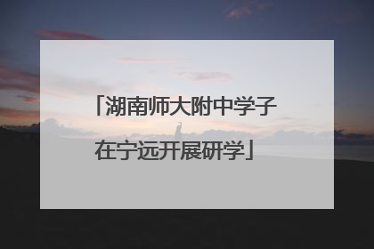 湖南师大附中学子在宁远开展研学