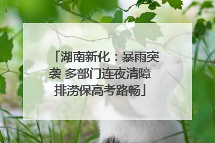 湖南新化：暴雨突袭 多部门连夜清障排涝保高考路畅