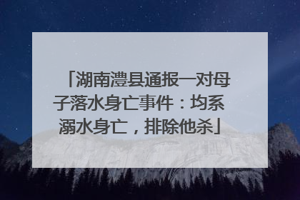湖南澧县通报一对母子落水身亡事件：均系溺水身亡，排除他杀