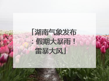 湖南气象发布：假期大暴雨！雷暴大风
