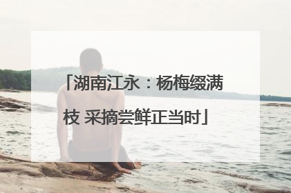 湖南江永：杨梅缀满枝 采摘尝鲜正当时