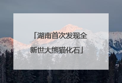 湖南首次发现全新世大熊猫化石