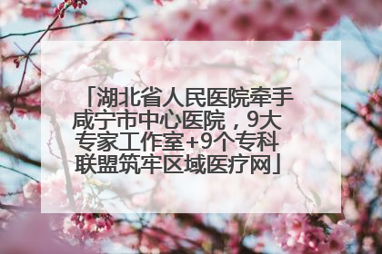 湖北省人民医院牵手咸宁市中心医院，9大专家工作室+9个专科联盟筑牢区域医疗网