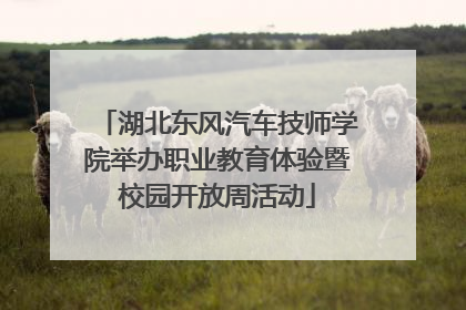 湖北东风汽车技师学院举办职业教育体验暨校园开放周活动