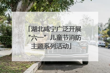 湖北咸宁广泛开展“六一”儿童节消防主题系列活动