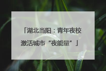 湖北当阳：青年夜校激活城市“夜能量”