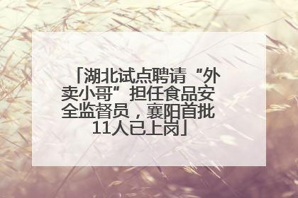 湖北试点聘请“外卖小哥”担任食品安全监督员，襄阳首批11人已上岗