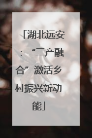湖北远安：“三产融合”激活乡村振兴新动能