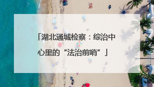 湖北通城检察：综治中心里的“法治前哨”