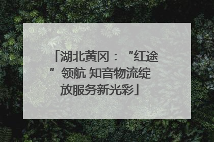 湖北黄冈：“红途”领航 知音物流绽放服务新光彩