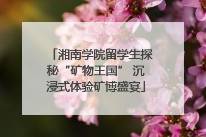 湘南学院留学生探秘“矿物王国” 沉浸式体验矿博盛宴