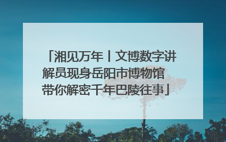 湘见万年丨文博数字讲解员现身岳阳市博物馆 带你解密千年巴陵往事