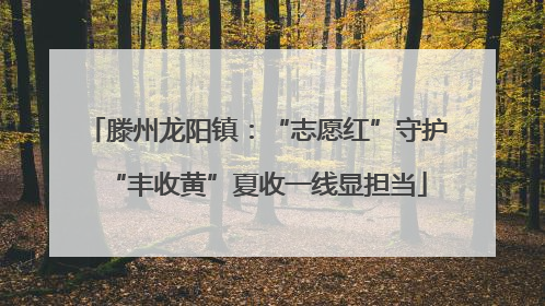滕州龙阳镇：“志愿红”守护“丰收黄”夏收一线显担当