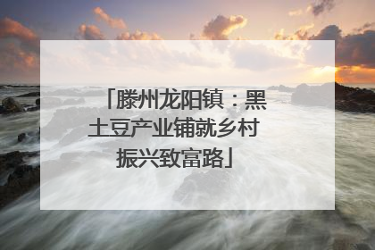 滕州龙阳镇：黑土豆产业铺就乡村振兴致富路