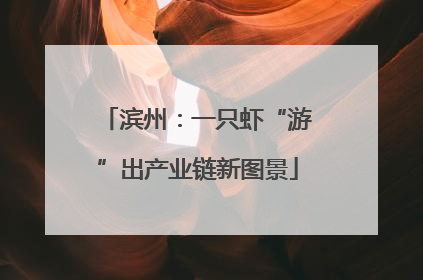 滨州：一只虾“游”出产业链新图景
