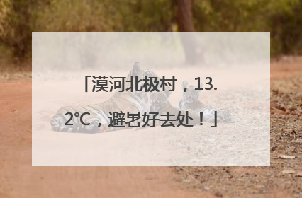 漠河北极村，13.2℃，避暑好去处！