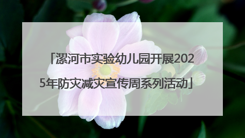漯河市实验幼儿园开展2025年防灾减灾宣传周系列活动