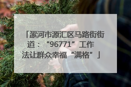 漯河市源汇区马路街街道：“96771”工作法让群众幸福“满格”