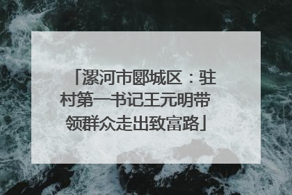 漯河市郾城区：驻村第一书记王元明带领群众走出致富路
