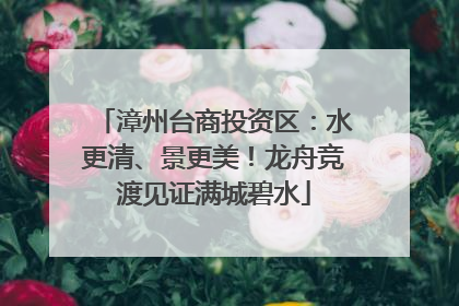漳州台商投资区：水更清、景更美！龙舟竞渡见证满城碧水