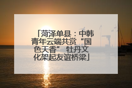菏泽单县：中韩青年云端共赏“国色天香” 牡丹文化架起友谊桥梁