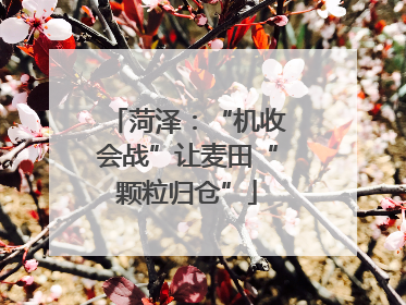 菏泽：“机收会战”让麦田“颗粒归仓”