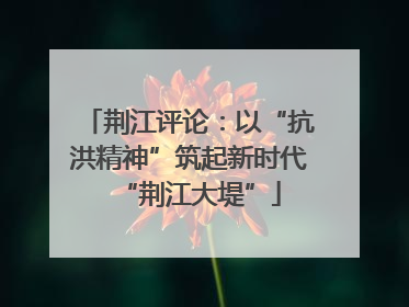 荆江评论：以“抗洪精神”筑起新时代“荆江大堤”