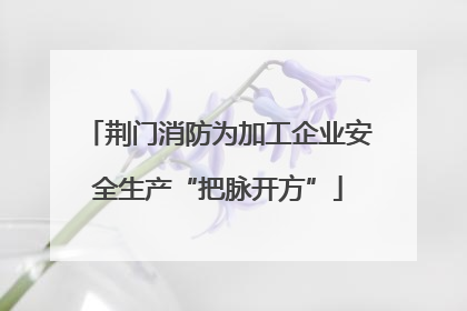 荆门消防为加工企业安全生产“把脉开方”
