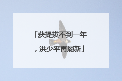获提拔不到一年，洪少平再履新