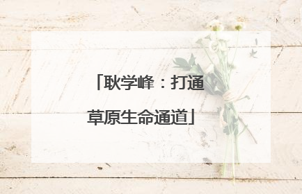 耿学峰：打通草原生命通道