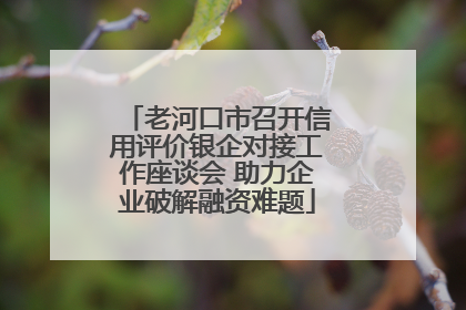 老河口市召开信用评价银企对接工作座谈会 助力企业破解融资难题