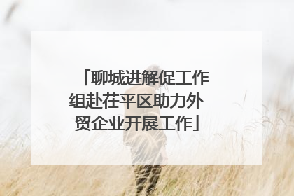 聊城进解促工作组赴茌平区助力外贸企业开展工作