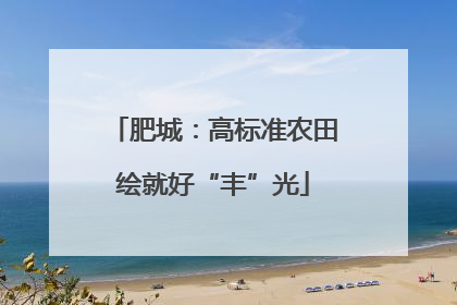 肥城：高标准农田绘就好“丰”光