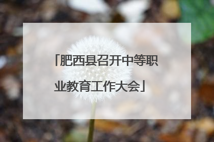 肥西县召开中等职业教育工作大会