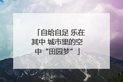自给自足 乐在其中 城市里的空中“田园梦”