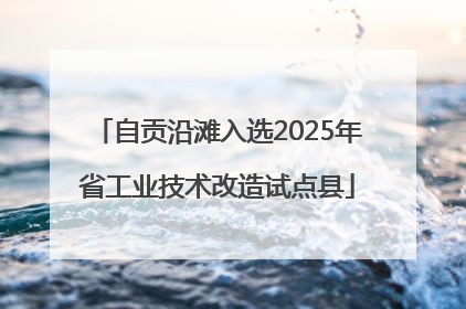 自贡沿滩入选2025年省工业技术改造试点县