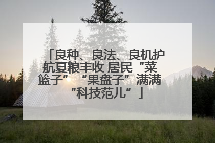 良种、良法、良机护航夏粮丰收 居民“菜篮子”“果盘子”满满“科技范儿”