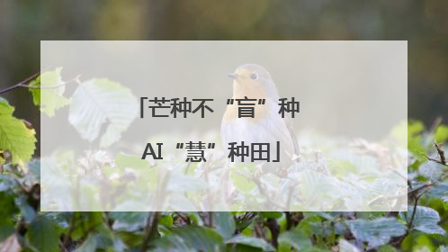 芒种不“盲”种 AI“慧”种田