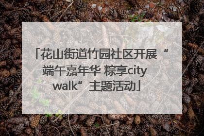 花山街道竹园社区开展“端午嘉年华 粽享city walk”主题活动