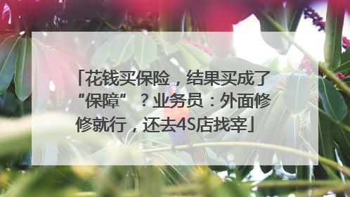 花钱买保险，结果买成了“保障”？业务员：外面修修就行，还去4S店找宰