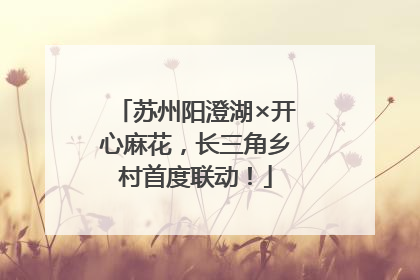 苏州阳澄湖×开心麻花，长三角乡村首度联动！