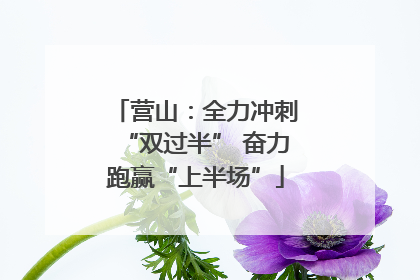 营山：全力冲刺“双过半” 奋力跑赢“上半场”