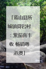 蓝山县所城镇舜岩村：紫茄喜丰收 畅销粤港澳