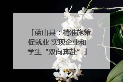 蓝山县：精准施策促就业 实现企业和学生“双向奔赴”