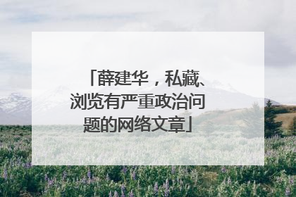 薛建华，私藏、浏览有严重政治问题的网络文章