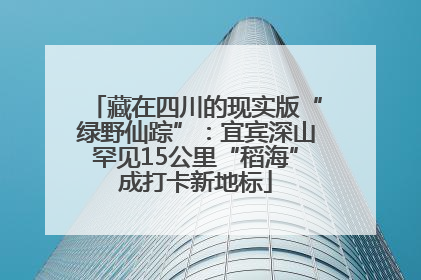 藏在四川的现实版“绿野仙踪”：宜宾深山罕见15公里“稻海”成打卡新地标