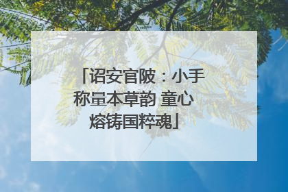 诏安官陂：小手称量本草韵 童心熔铸国粹魂