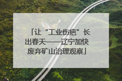 让“工业伤疤”长出春天——辽宁加快废弃矿山治理观察