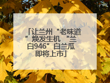 让兰州“老味道”焕发生机 “兰白946”白兰瓜即将上市